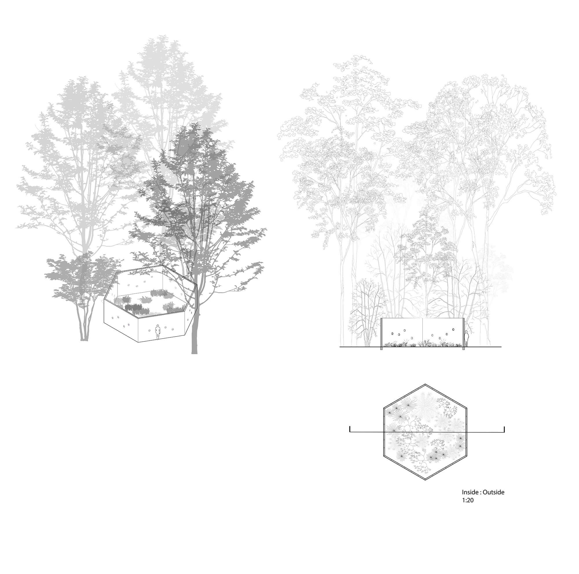 Reflectagon Plan Section Axo